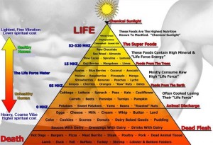 Karma-Food-pyramid