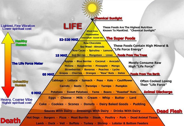Karma-Food-pyramid, spiritual cost of food