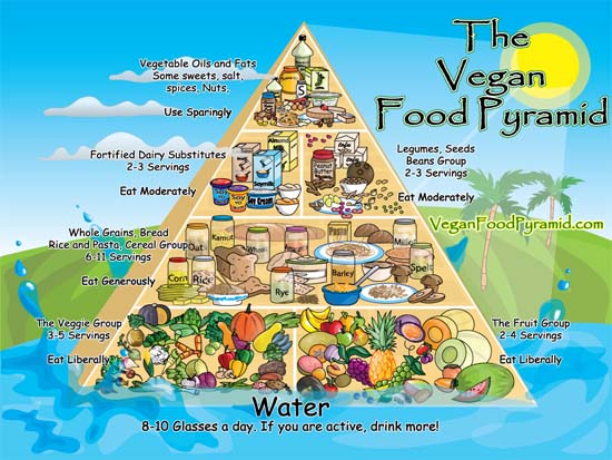 The Vegetarian and Vegan diet food pyramid